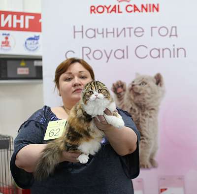 �������� ����� 11-12 ������ 2015, ������������ ���  sfs-58-169A3902 copy.jpg